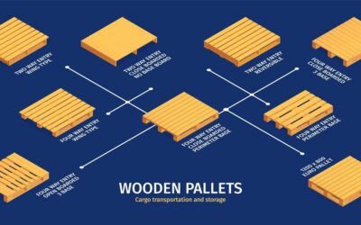 Guide des tailles de palettes : quelle taille pour quel usage ?